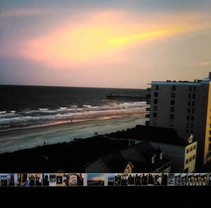 Meet your Posher, Harriet